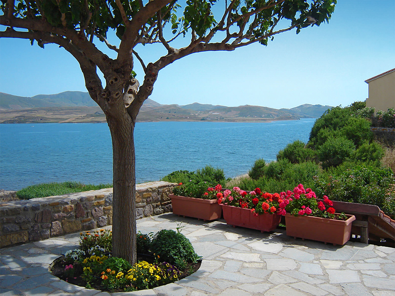 Olon Estate Lemnos | Accommodation